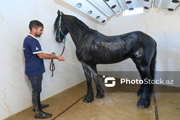 Xəzər rayonunda yerləşən Binə Atçılıq Mərkəzi