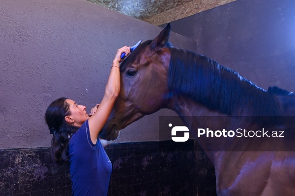 Xəzər rayonunda yerləşən Binə Atçılıq Mərkəzi