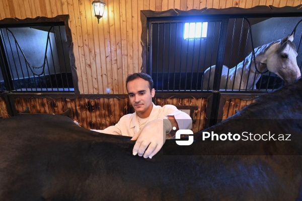 Xəzər rayonunda yerləşən Binə Atçılıq Mərkəzi