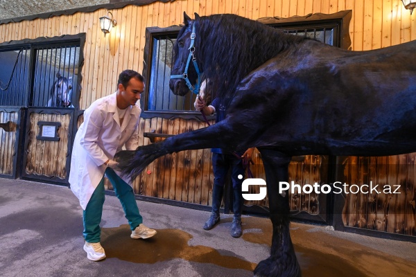 Xəzər rayonunda yerləşən Binə Atçılıq Mərkəzi