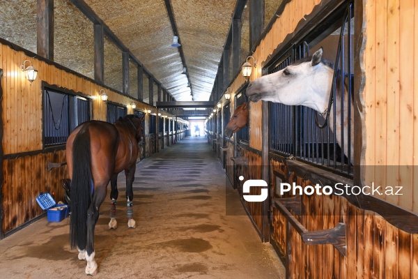 Xəzər rayonunda yerləşən Binə Atçılıq Mərkəzi