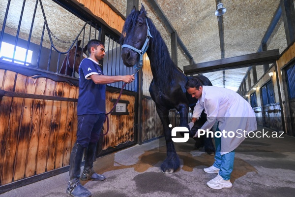 Xəzər rayonunda yerləşən Binə Atçılıq Mərkəzi