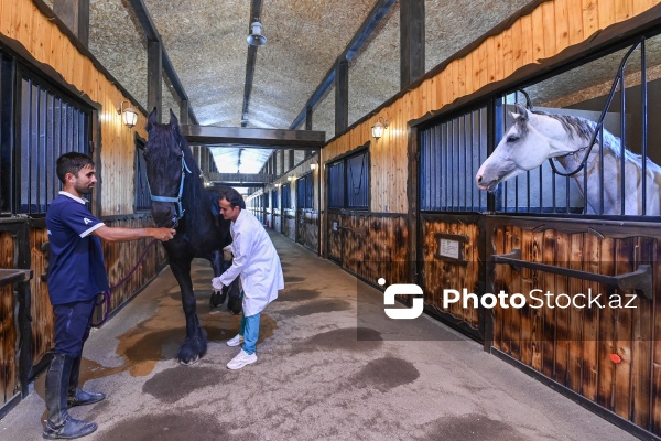 Xəzər rayonunda yerləşən Binə Atçılıq Mərkəzi