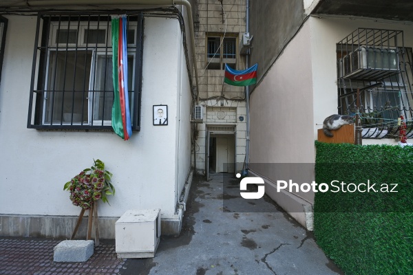 AZAL-ın təyyarə qəzasında həlak olan Aleksandr Kalyaninovun anası Yelena Kalyaninova