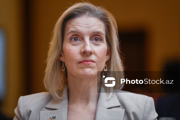 Emi Karlon - ABŞ-nin Bakıdakı müvəqqəti işlər vəkili