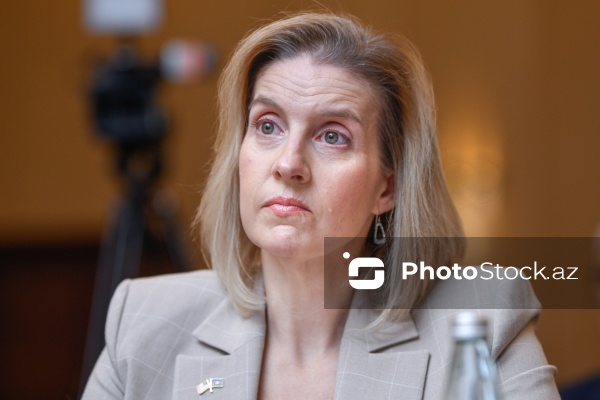 Emi Karlon - ABŞ-nin Bakıdakı müvəqqəti işlər vəkili