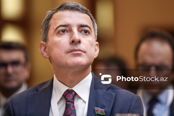 Fariz İsmayılzadə - ADA Universitetinin prorektoru