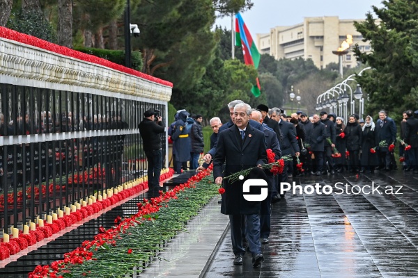 Əli Əhmədov - Şəhidlər xiyabanında