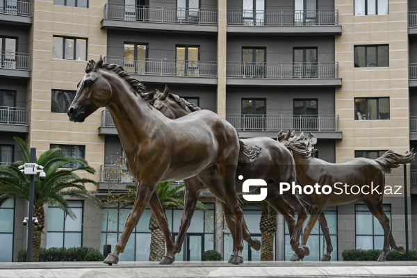"Ağ Şəhər"də açılışı olan "Qarabağ atları" heykəltaraşlıq kompleksi