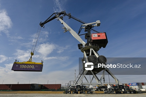 Bakı Beynəlxalq Dəniz Limanına təşkil olunan mediatur