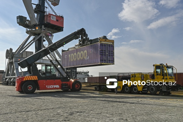 Bakı Beynəlxalq Dəniz Limanına təşkil olunan mediatur