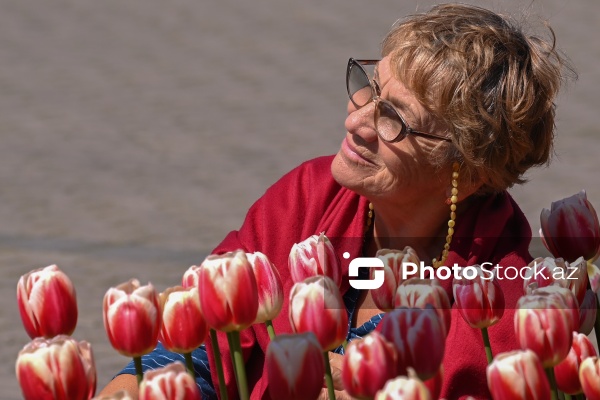 Bakı Bulvarında dağlaləsi mövsümü