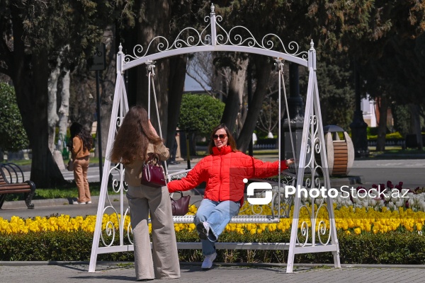 Bakı Bulvarında dağlaləsi mövsümü