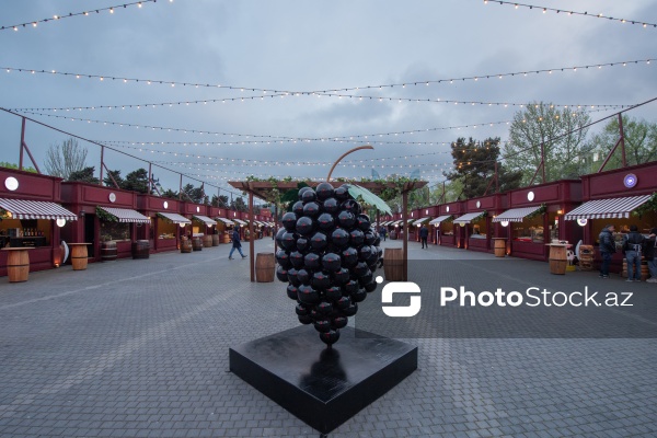 Bakı bulvarında təşkil olunacaq Caz və Şərab festivalı