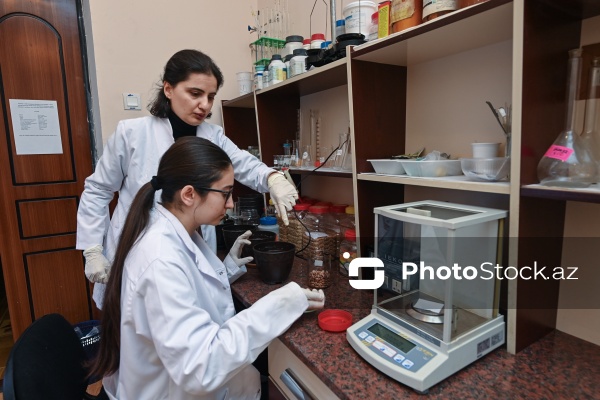 Bakı Dövlət Universitetinin Biologiya və Kimya fakültələri