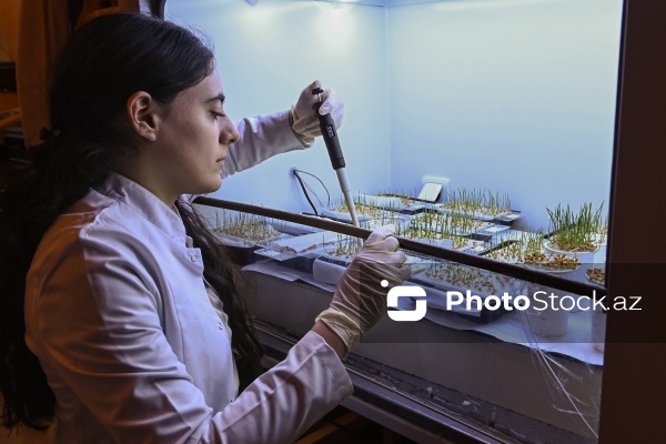 Bakı Dövlət Universitetinin Biologiya və Kimya fakültələri