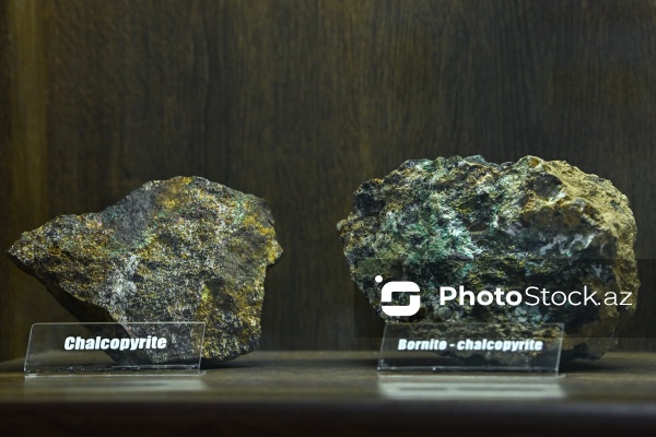 Bakı Dövlət Universitetinin Faydalı qazıntılar muzeyi