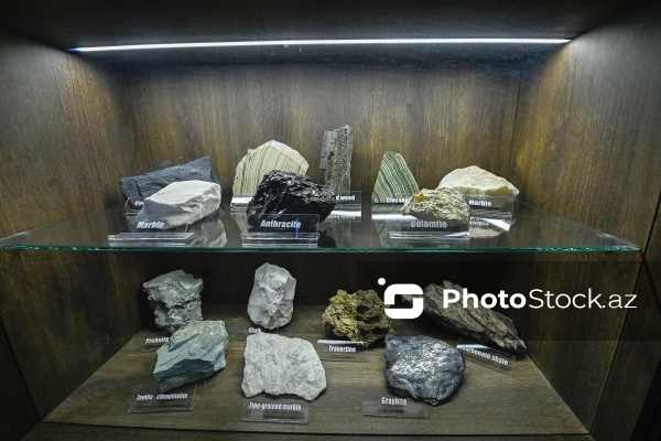 Bakı Dövlət Universitetinin Faydalı qazıntılar muzeyi