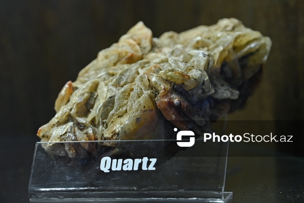 Bakı Dövlət Universitetinin Faydalı qazıntılar muzeyi