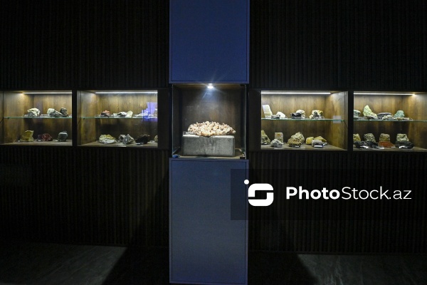 Bakı Dövlət Universitetinin Faydalı qazıntılar muzeyi