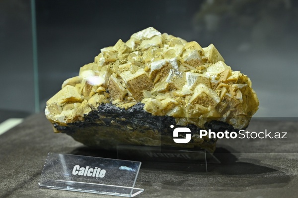 Bakı Dövlət Universitetinin Faydalı qazıntılar muzeyi