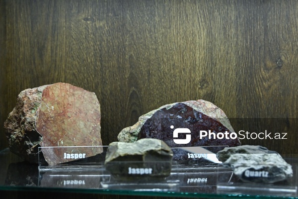 Bakı Dövlət Universitetinin Faydalı qazıntılar muzeyi