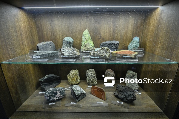 Bakı Dövlət Universitetinin Faydalı qazıntılar muzeyi