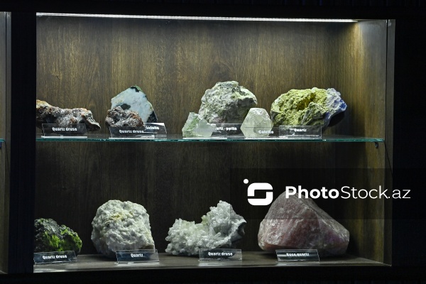 Bakı Dövlət Universitetinin Faydalı qazıntılar muzeyi