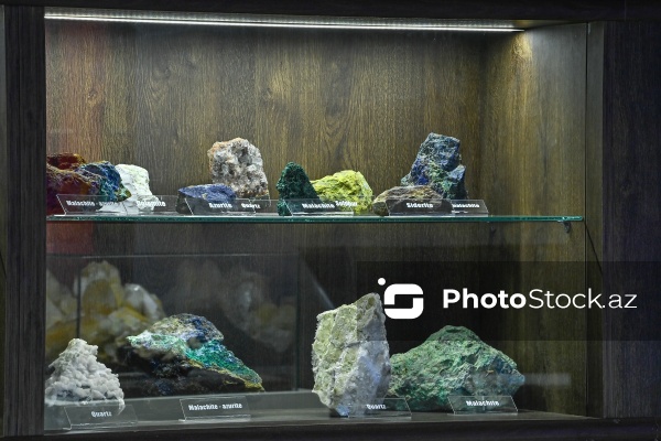 Bakı Dövlət Universitetinin Faydalı qazıntılar muzeyi