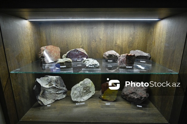 Bakı Dövlət Universitetinin Faydalı qazıntılar muzeyi