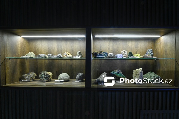 Bakı Dövlət Universitetinin Faydalı qazıntılar muzeyi