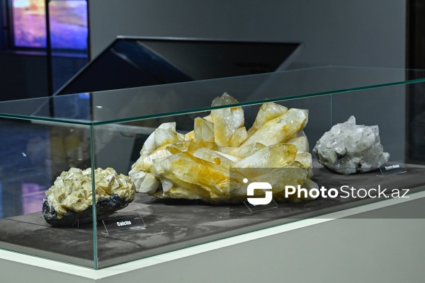 Bakı Dövlət Universitetinin Faydalı qazıntılar muzeyi