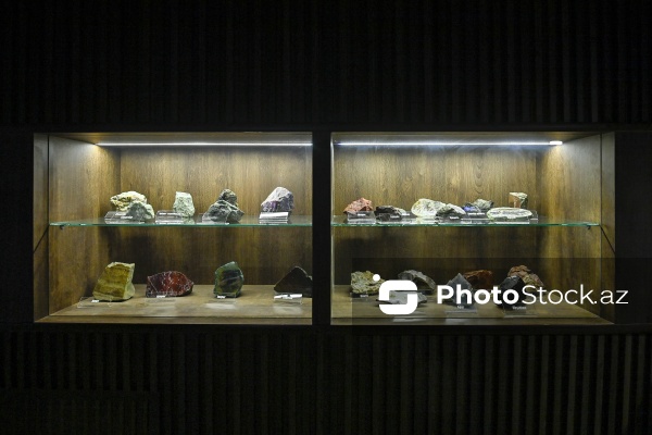 Bakı Dövlət Universitetinin Faydalı qazıntılar muzeyi