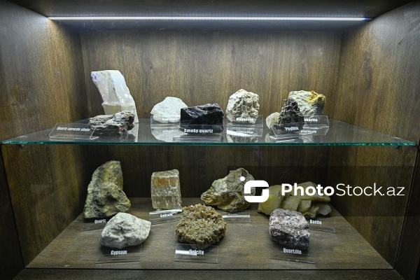 Bakı Dövlət Universitetinin Faydalı qazıntılar muzeyi