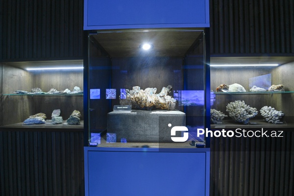 Bakı Dövlət Universitetinin Faydalı qazıntılar muzeyi