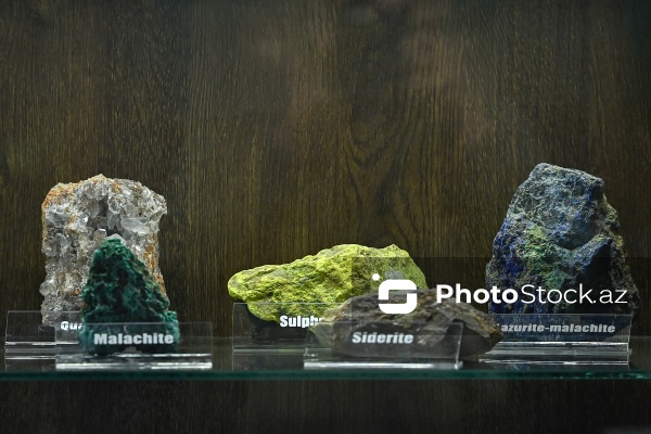 Bakı Dövlət Universitetinin Faydalı qazıntılar muzeyi