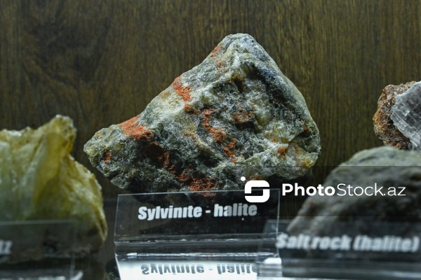 Bakı Dövlət Universitetinin Faydalı qazıntılar muzeyi