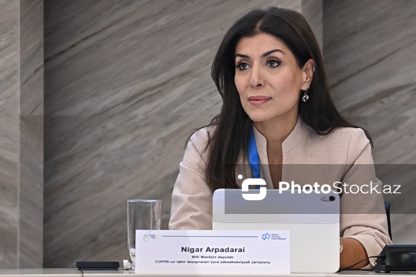 Nigar Arpadarai - Bakı Konqres Mərkəzində keçirilən IV İqlim Həftəsinin beşinci günündə