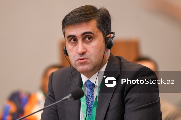 Abbas Abbasov - "Belçika müstəmləkəçiliyi: Tanınma və Məsuliyyət" konfransında