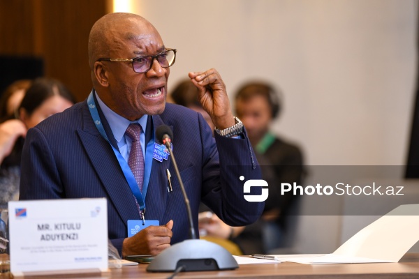 Kitulu Aduyenzi - "Belçika müstəmləkəçiliyi: Tanınma və Məsuliyyət" konfransında