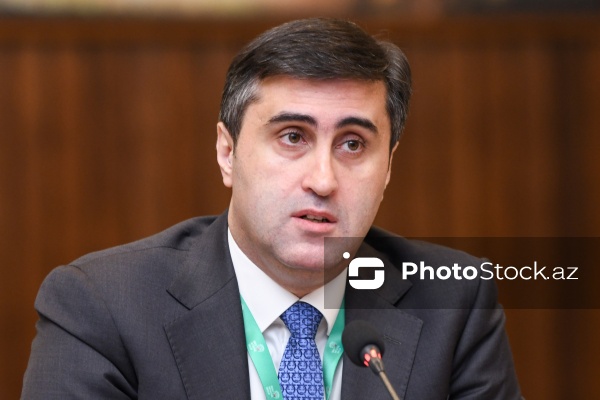 Abbas Abbasov - "Belçika müstəmləkəçiliyi: Tanınma və Məsuliyyət" konfransında