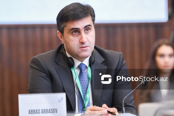 Abbas Abbasov - "Belçika müstəmləkəçiliyi: Tanınma və Məsuliyyət" konfransında