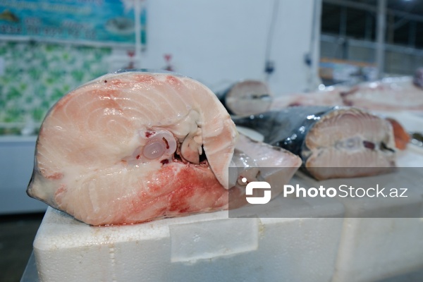 Bakıda keçirilən balıq yarmarkası