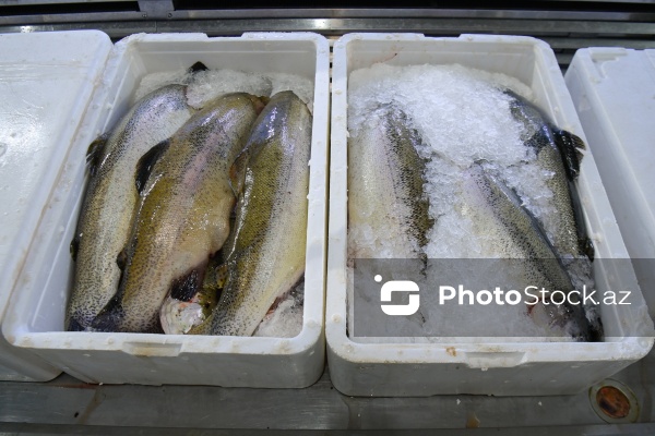 Bakıda keçirilən balıq yarmarkası