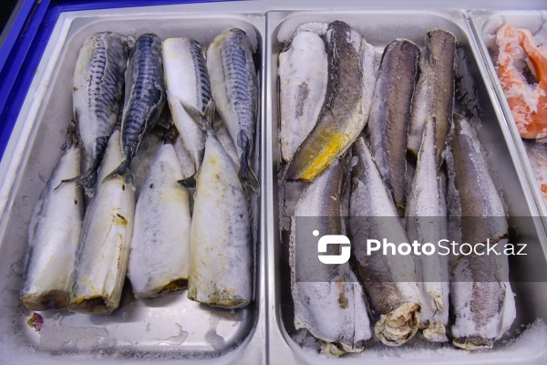 Bakıda keçirilən balıq yarmarkası