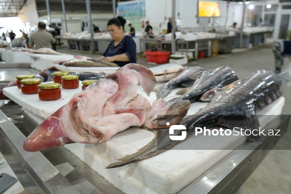 Bakıda keçirilən balıq yarmarkası