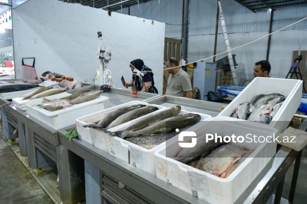 Bakıda keçirilən balıq yarmarkası