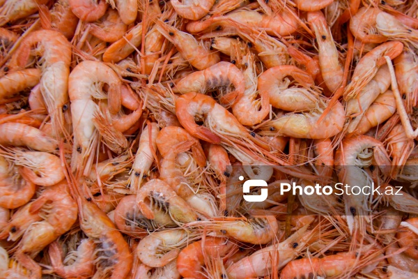 Bakıda keçirilən balıq yarmarkası