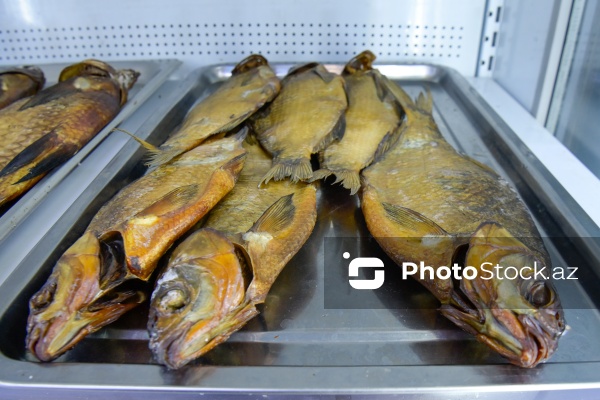 Bakıda keçirilən balıq yarmarkası