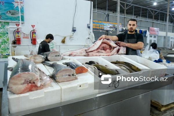 Bakıda keçirilən balıq yarmarkası
